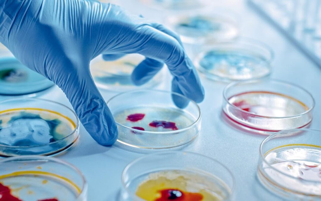 March 2025 Newsletter: Pharmalys takes over full management of the GCLP Accreditation Scheme, Corporate Social Responsibility